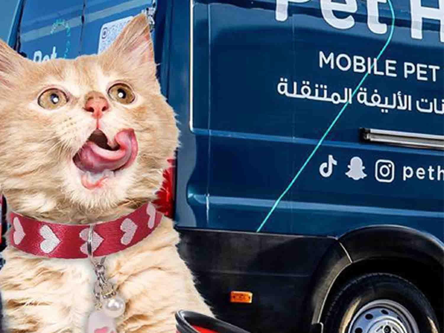 عناية بت هب للقطط | خدمات منزلية